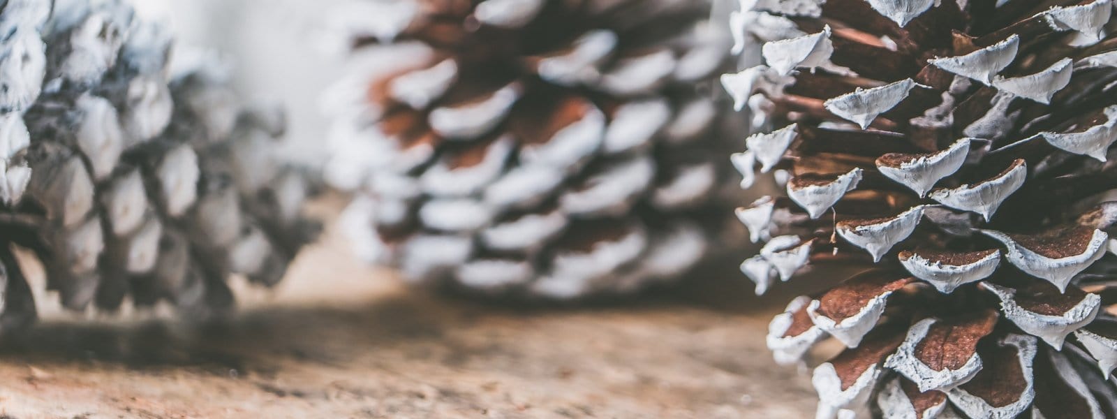Tipps: Weihnachten voll und ganz genießen