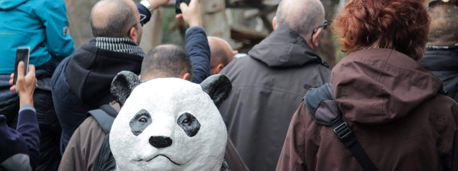 Pandas im Zoologischen Garten Berlin