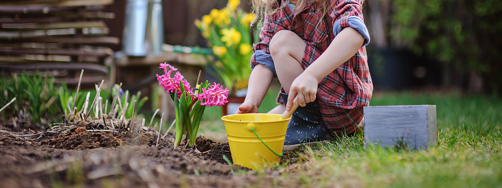 Umweltfreundliche Gartenarbeit im Frühling
