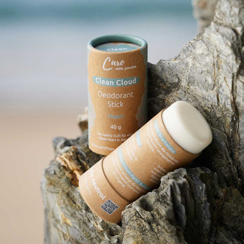 pandoo Deodorant Deo Stick Clean Cloud | vegan