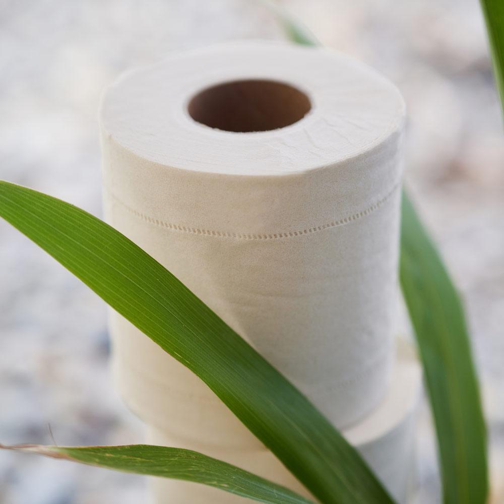 pandoo Hygienepapier 1 Packung | 8 Rollen á 200 Blatt Bambus Toilettenpapier 3-lagig | 100% Bambus | Plastikfreie Verpackung (Aktuell nur im ABO)